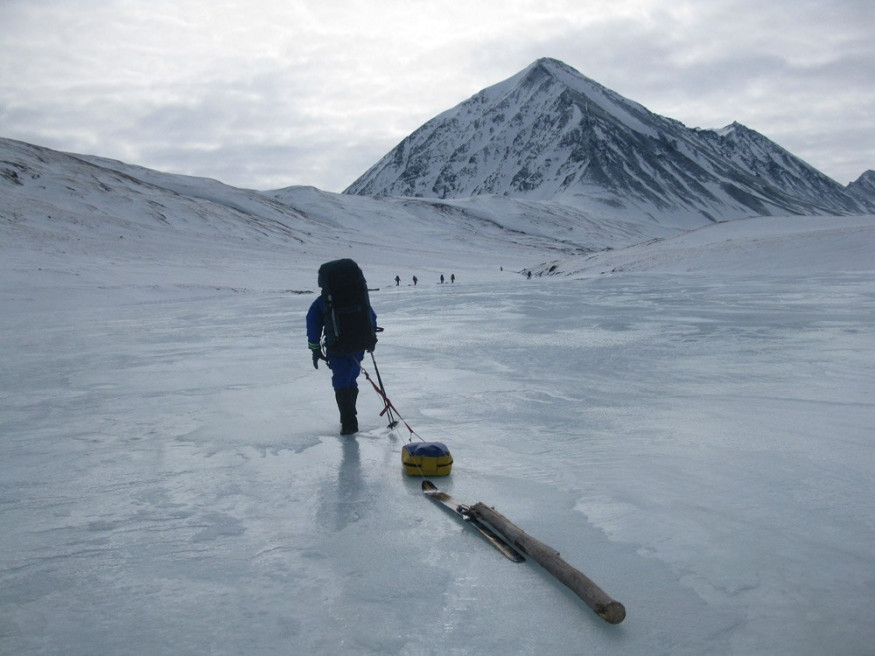 Сани-волокуши Гермо 65 л